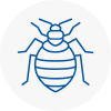 Bed Bug Extermination In Wokingham