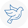 Bird Prevention Wokingham