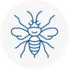Wokingham Hornet Nest Removals
