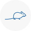 Mice Exterminators In Wokingham