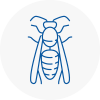 Wokingham Wasp Nest Removal